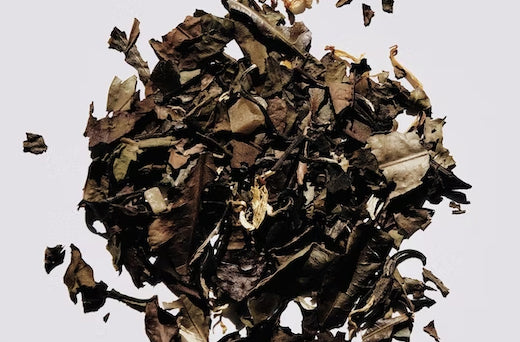 The Story Behind Reading Tea Leaves - Tasseography