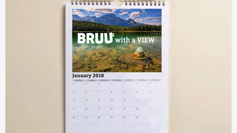 Competition: BRUU with a VIEW 2017 *CLOSED*