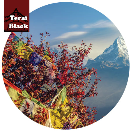 Nepal - The Terai