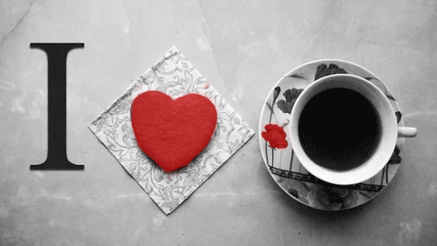 Our February 2017 Box