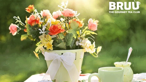 Our May 2017 Box - From the ground to your cup