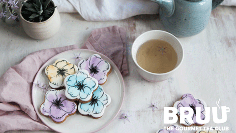 Our May 2019 Subscription Box...