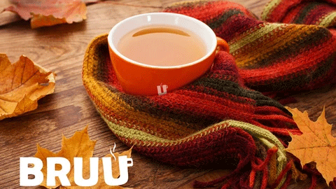 Our November 2016 Box