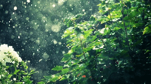 Poetry by John Philiparr