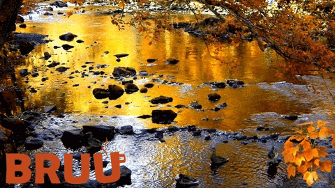 Stop, Inhale, Sip, Exhale, Smile.