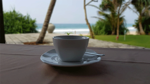 Should I Drink Tea to Cool Down?